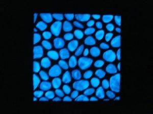 Manufacturer Of Glow In The Dark Products Ceramic Wall Tiles, Glass Mosaic Tiles, Stone, Film, Paper