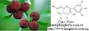 Ampelopsis Grossedentata Extract-myricetin