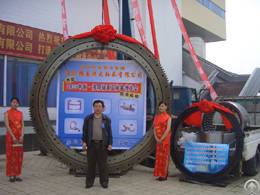 Offer Large Size Slewing Ring Bearing