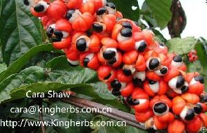 Supply China Guarana Seed Extract