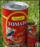 canned tomato paste middle east
