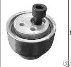 Auto Tensioner For Fait 7541718