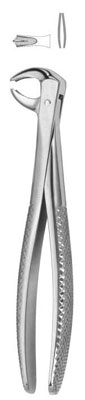 Tooth Extracting Forceps Made Up Of With Imported Stainless Steel