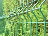 Sell Wire Mesh Fence