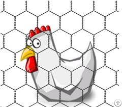 hexagonal wire netting