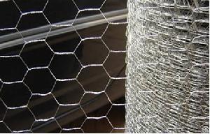 1 hexagonal wire mesh