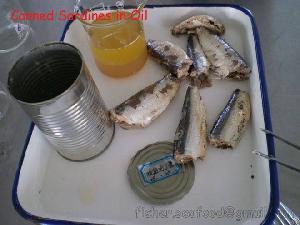 Wts Canned Sardines