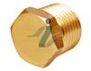 brass hex plug