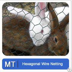 Hexagonal Wire Netting