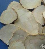 White Atractrylodes Extract