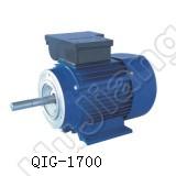 Foot Mounted Pump Motors Qig-1700