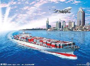 Ocean Freight From Shanghai / Shenzhen / Qingdao / Ningbo To Wellington / Port Chalmers / Timaru / T