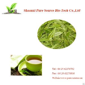 Green Tea Extract-polyphenol 95%