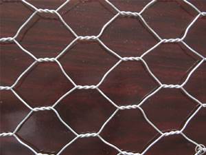 Hot Dipped Galvanized Hexagonal Wire Netting