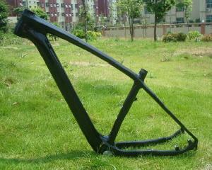 Full Carbon Bike