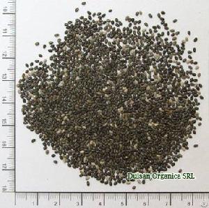 Sesame And Chia Seeds From Paraguay High Quality-low Price