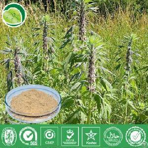 Motherwort Extract