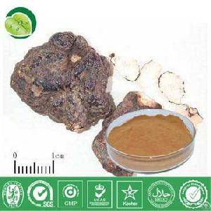 Polyporus Umbrellatus Extract