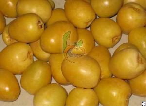 Fresh Barhi Dates