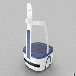 Airport Transfer Service Robot