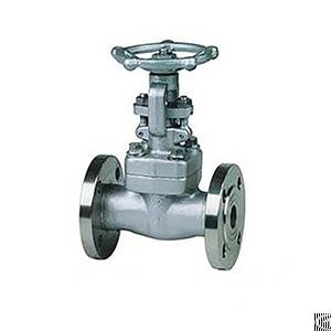 American Standard Small-bore Forged Steel Power Plant Gate Valve