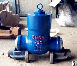 The Power Plant Check Valve