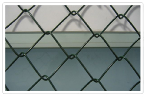 Chain Link Fence