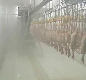 Poultry Slaughter Equipment Production Line In China