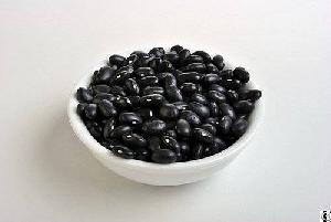 Black Bean From Vietnam