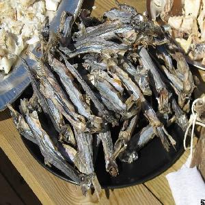 dried capelin