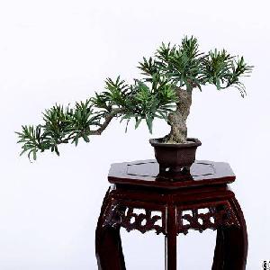 Faux Buddhist Pine Tree