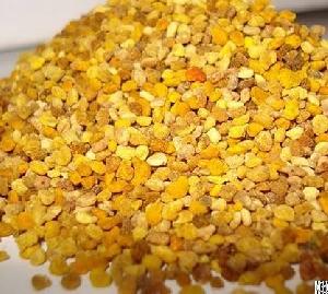 bee pollen vietnam