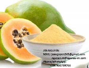Papaya Powder With Premium Quality