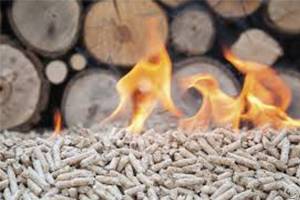 The Important Contribution Of Wood Pellet Machine In The New Energy Industry