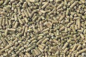 Things You Need To Know About Sheep Feed Pellets Flat Die Feed Pellet Machine