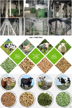 Animal Feed Production Equipment Start A Feed Pellet Plant