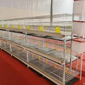 H Type Chicken Broiler Cage