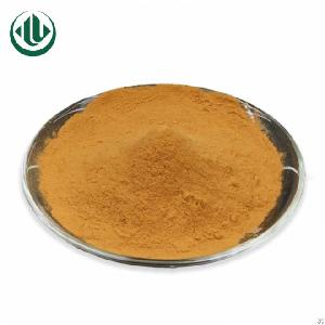 100% Tea Leaves Extract Instant Green Powder Free Sample For Test