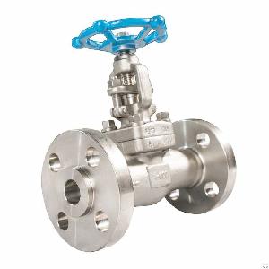 stainless steal flanged globe valve