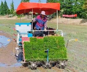 Pneumatic Seeder 8 Rows 75l For Rice Transplanter Side Deep Fetilizer