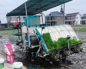 rice deep placement fertilizing machine kubota yanmar transplanter