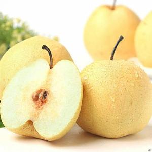 Snow Pear