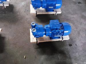 2bv2071ex 4kw Liquid Ring Vacuum Pumps