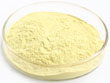 Sell Chrysanthemum Extract Freeze Dried