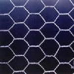 Hexagonal Wire Mesh