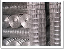 2 Inch X 2 Inch Welded Wire Mesh Fabric For Sale