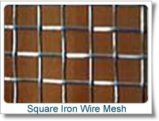 2 Inch X2 Inch Mesh Electro Galvanized Square Wire Mesh