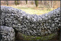 gabion