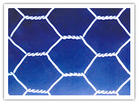 Sell Hexagonal Wire Netting