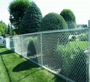 Chaninlink Fencing / Chain Wire Fence